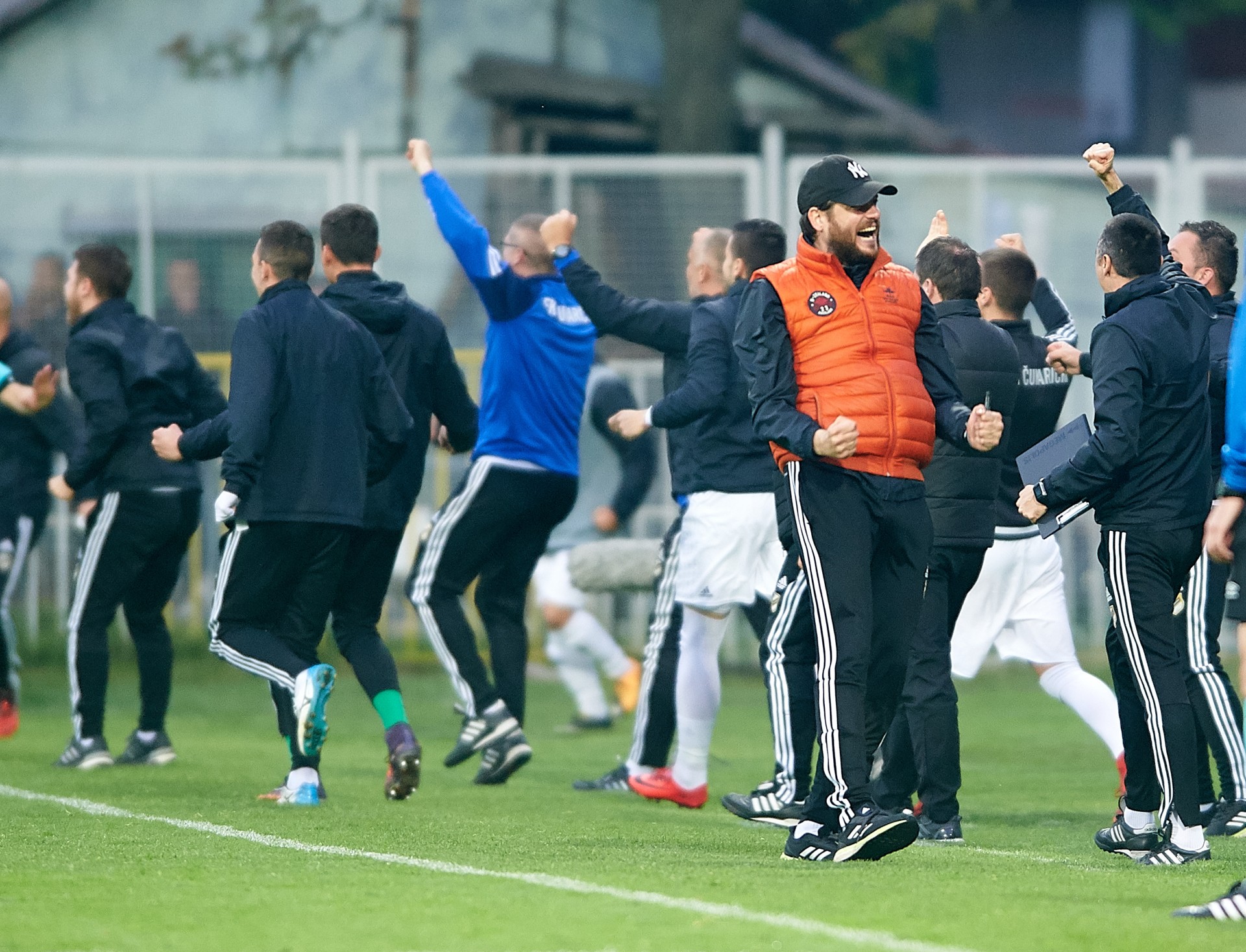 Klupa Čukaričkog slavi gol na meču protiv Partizana | FkCukaricki